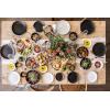 imageoverampampback Coupe Dinnerware Set  Stoneware Dishes  Comes with 4 Dinner Plates 4 Salad Plates 4 Cereal Bowls and 4 Dinner Bowls  16Piece AllOccasion Place Settings  SemiMatte White